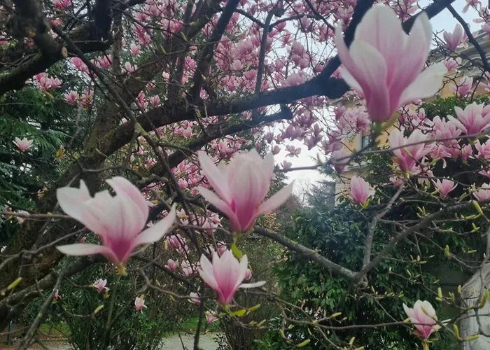 San Giuseppe Passirano